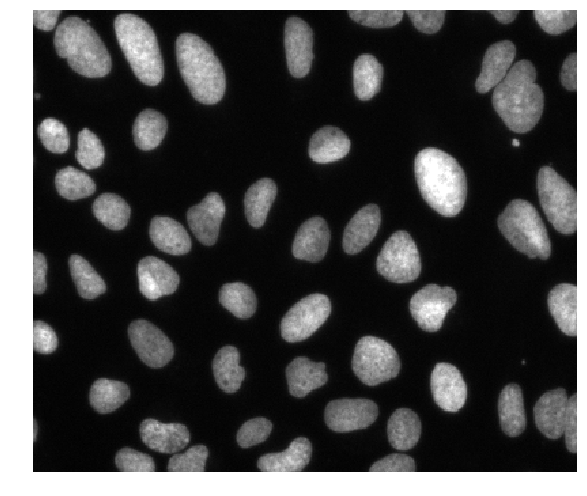BBBC039 image of flourescent nuclei